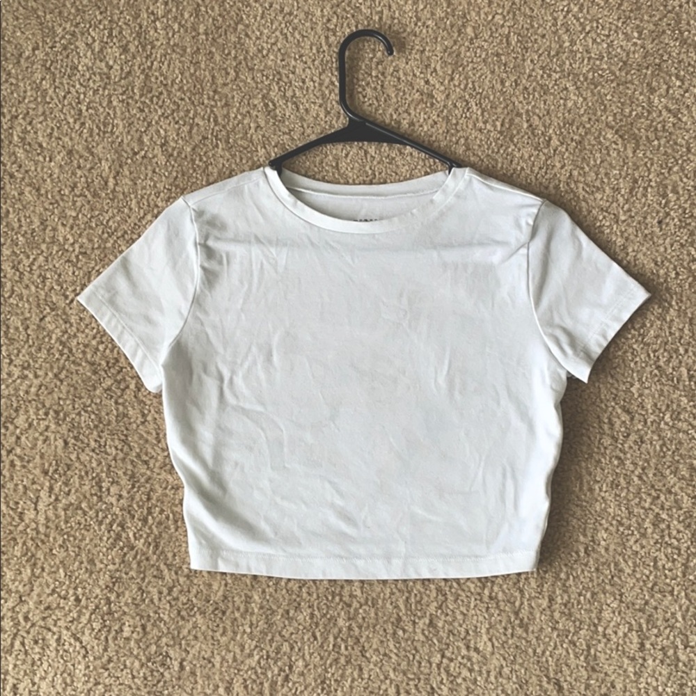 Wild Fable crop top